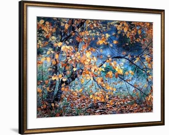 Yellow Heart-Ursula Abresch-Framed Photographic Print