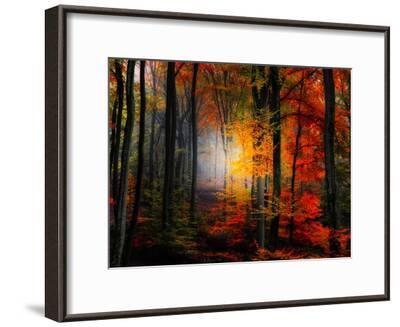 Light Colors Photographic Print by Philippe Sainte-Laudy | Art.com