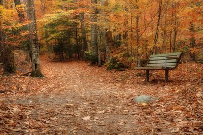 Photographic Print, , small