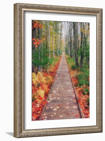 Wild Garden of Acadia Path-Vincent James-Framed Photographic Print