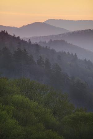 Premium Photographic Print, , small