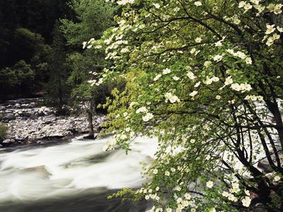 Premium Photographic Print, , small