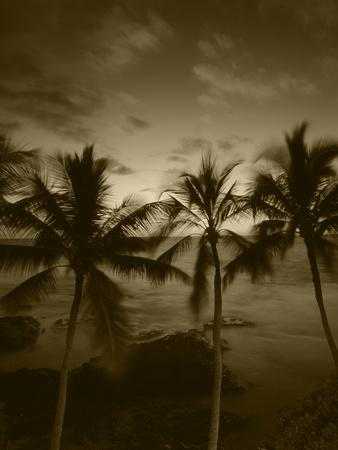 Premium Photographic Print, , small