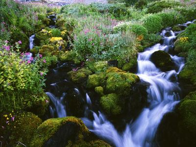 Premium Photographic Print, , small