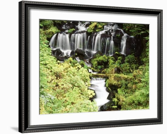 Mt. Adams and Twin Falls, Gifort Pinchot National Forest, Washington State, USA-Stuart Westmorland-Framed Photographic Print