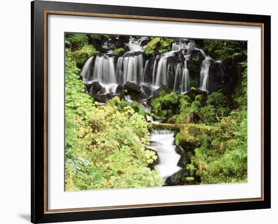 Mt. Adams and Twin Falls, Gifort Pinchot National Forest, Washington State, USA-Stuart Westmorland-Framed Photographic Print