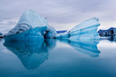 Photographic Print, , small