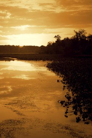 Premium Photographic Print, , small