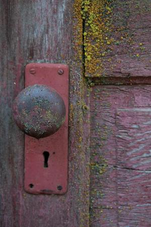 Premium Photographic Print, , small