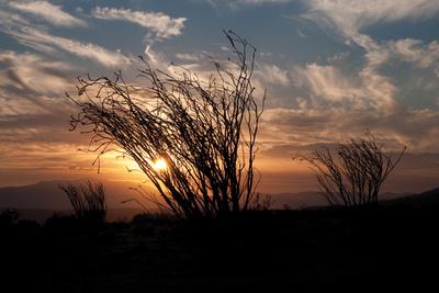Premium Photographic Print, , small