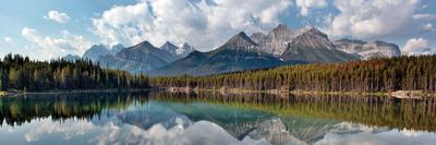 Premium Photographic Print, , small