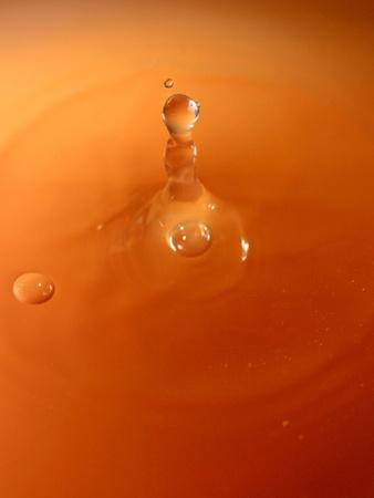 Premium Photographic Print, , small