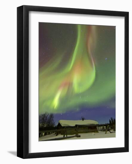 Aurora Borealis And Orion's Belt Above a Log Cabin at Whitehorse, Yukon, Canada-Stocktrek Images-Framed Photographic Print