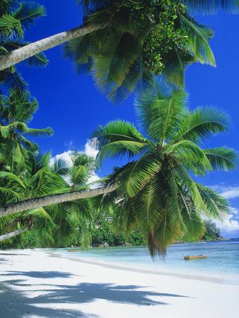 Premium Photographic Print, , small