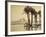 The Pyramids, 1860-69-G. Lekegian-Framed Photographic Print