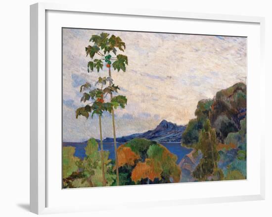 Martinique Landscape, 1887 (Detail)-Paul Gauguin-Framed Giclee Print