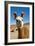 Domesticated Llama, Argentina-null-Framed Photographic Print