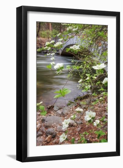 Dogwood Bridge-Vincent James-Framed Photographic Print