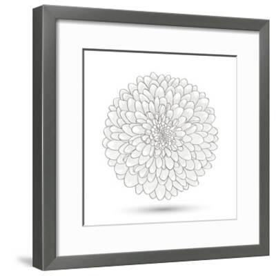 Hand-Drawn Flower Chrysanthemum. Element For Design. Abstract Floral