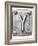 Old Metal Alphabet Letter Y-donatas1205-Framed Art Print