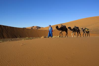 Photographic Print, , small