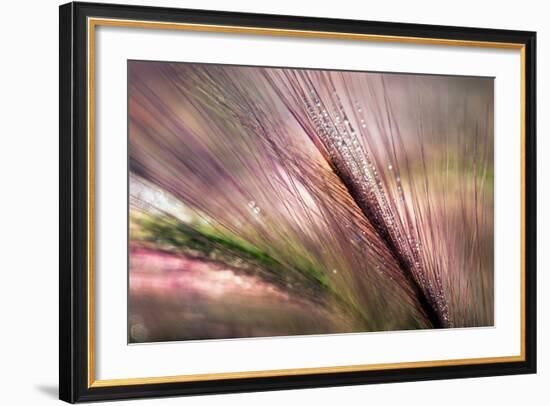 Dew 2-Ursula Abresch-Framed Photographic Print