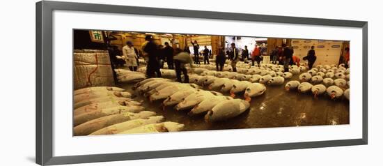 People Examining Tuna in a Fish Auction, Tsukiji Fish Market, Tsukiji, Tokyo Prefecture-null-Framed Photographic Print