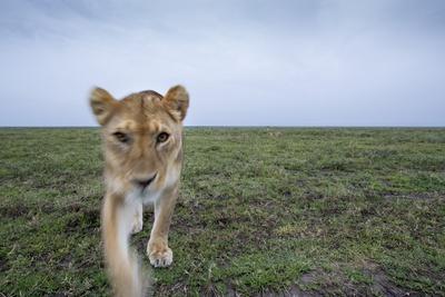 Premium Photographic Print, , small