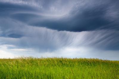Premium Photographic Print, , small