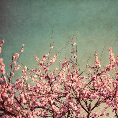 Premium Photographic Print, , small
