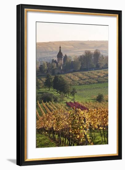 Vineyards in Autumn, German Wine Route, Pfalz, Rhineland-Palatinate, Germany, Europe-Marcus Lange-Framed Photographic Print
