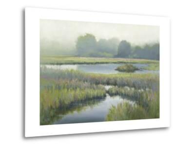 Morning At Edmonds Marsh Premium Giclee Print By David Marty Art Com