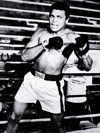 Photographic Print, , small