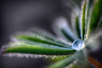 Photographic Print, , small