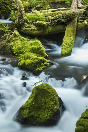 Premium Photographic Print, , small