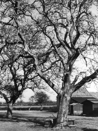 Premium Photographic Print, , small