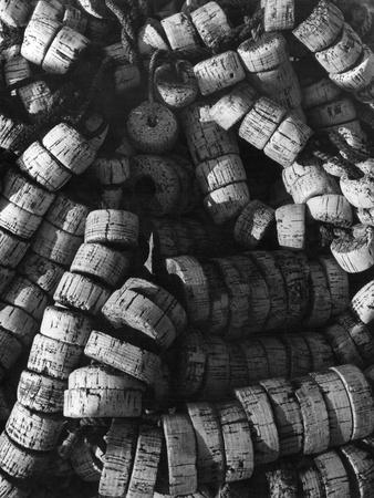 Premium Photographic Print, , small