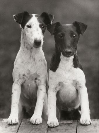 Premium Photographic Print, , small