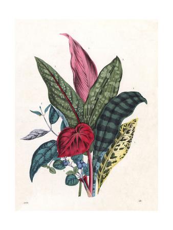 Premium Giclee Print, , small