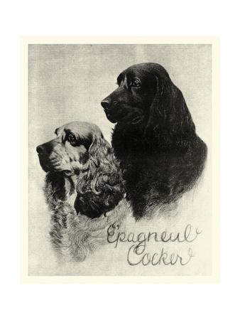 Premium Giclee Print, , small