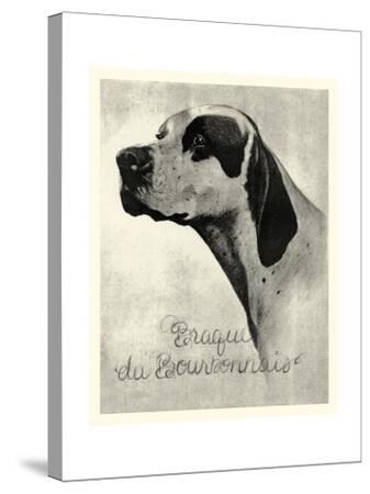 Brague Du Bourbonnais Art Print By Vision Studio Artcom