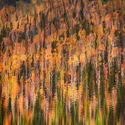 Premium Photographic Print, , small