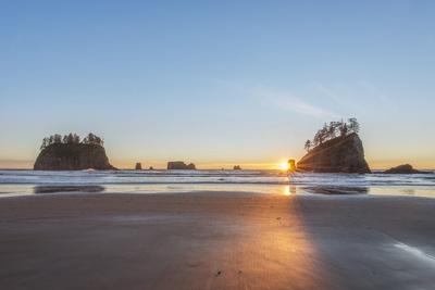 Premium Photographic Print, , small