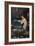 A Mermaid-John William Waterhouse-Framed Giclee Print