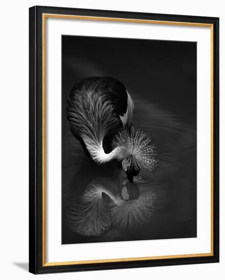 The Reflection-C.S.Tjandra-Framed Photographic Print