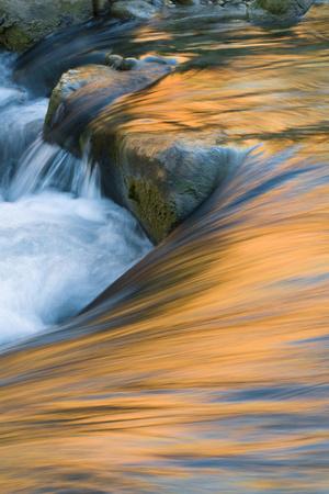 Premium Photographic Print, , small