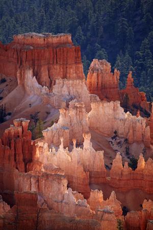 Premium Photographic Print, , small