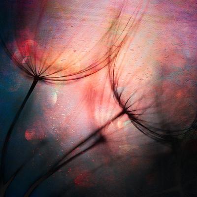 Photographic Print, , small