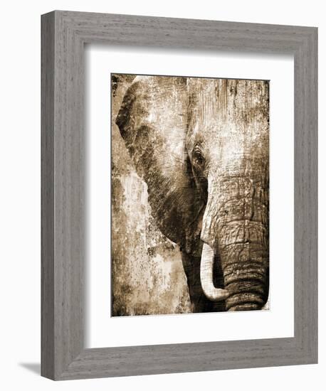 African Animals I - Sepia-Eric Yang-Framed Art Print