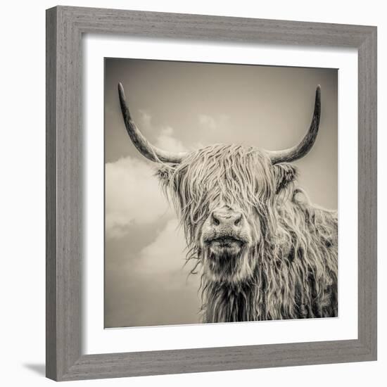 Highland Cattle-Mark Gemmell-Framed Premium Photographic Print